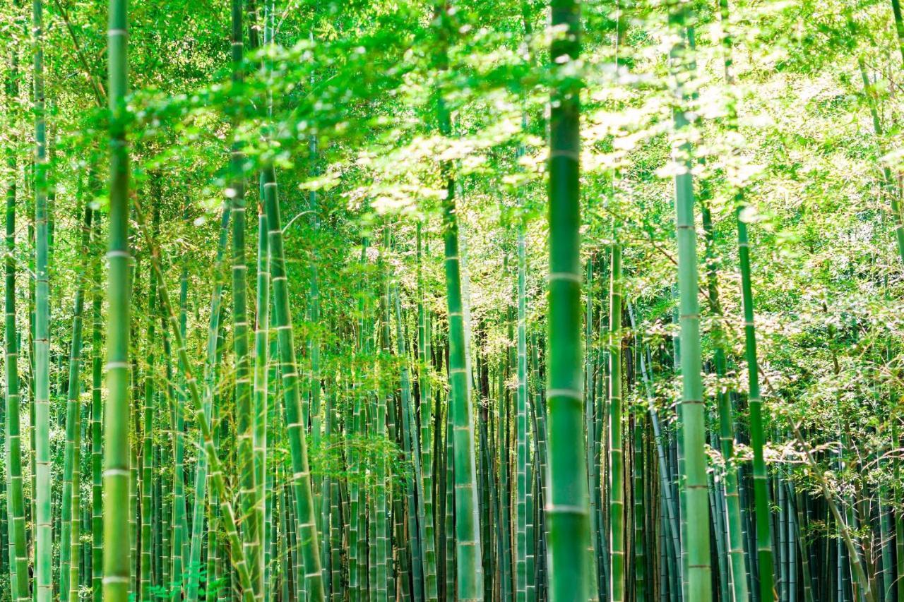 Suiran, A Luxury Collection Hotel, Kyoto Dış mekan fotoğraf
